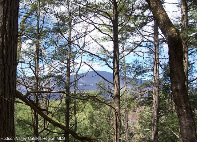 Property at Lot 5 White Pine Ln, Saugerties, NY 12477