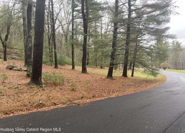 Property at Tbd Dianne Dr, Ellenville, NY 12428