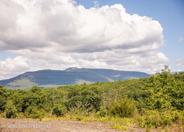 Property at Tbd Route 212, Saugerties, NY 12477
