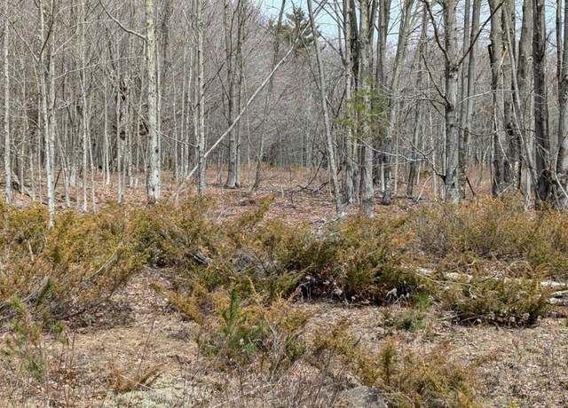 Property at 75 Windy Ln, Jewett, NY 12444