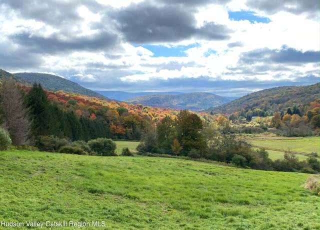 Property at Tbd Dimmick Mountain Rd. Rd, Denver, NY 12421