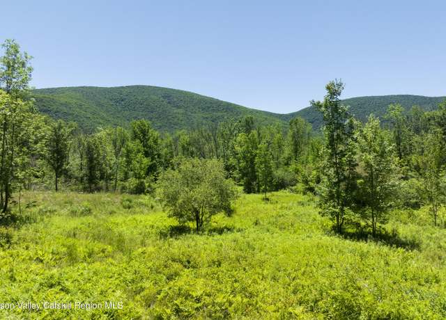Property at 201 Cloos Rd, Jewett, NY 12444