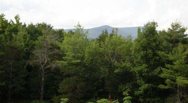 Photo of 56 Old Farm Rd, Woodstock, NY 12498