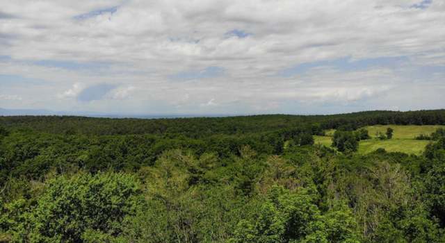 Photo of 0 Shale Mtn, Austerlitz, NY 12017