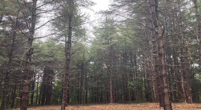 Photo of Lot 6 County Rte 51, Coxsackie, NY 12051