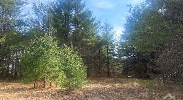 Photo of 0 Cangiano Dr, Lexington, NY 12452