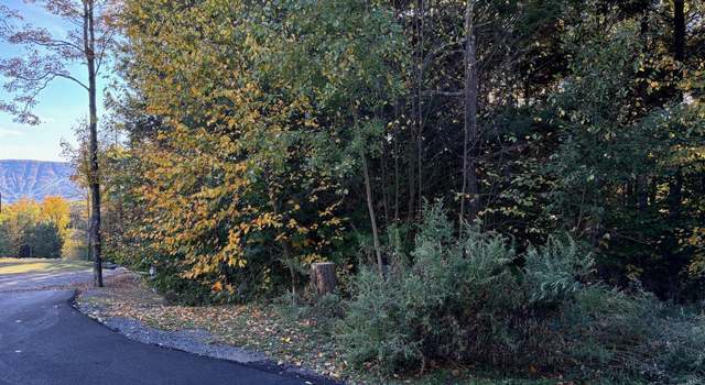 Photo of Tbd Hollow View Rd, Windham, NY 12496