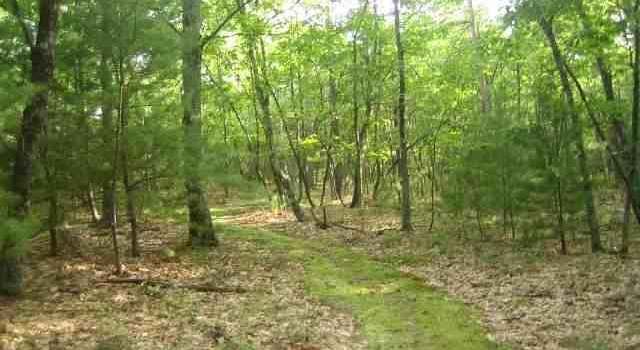 Photo of 111 JONES QUARRY Rd, Woodstock, NY 12498