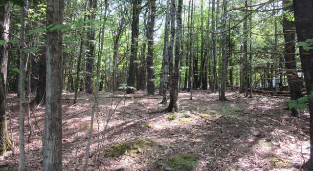 Photo of 0 Lakeview Rd, East Durham, NY 12423
