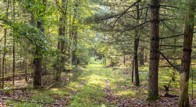 Photo of 000 Pine Grove Rd, Kerhonkson, NY 12446
