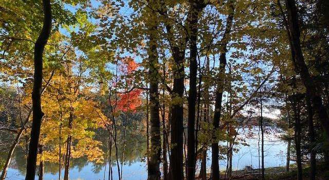 Photo of 1258 Lakeview Rd, Copake, NY 12516