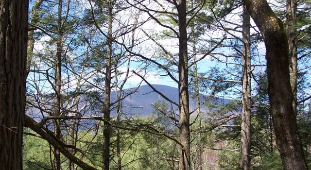 Photo of Lot 3 White Pine Ln, Saugerties, NY 12477