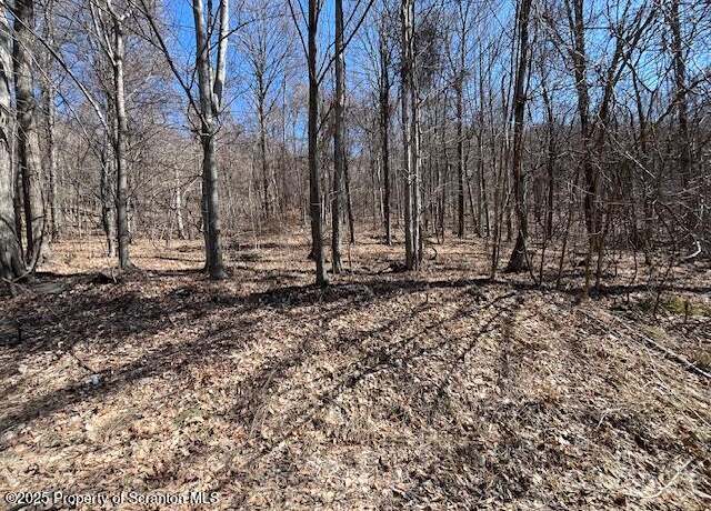Property at Lot 37 Johnson Hill Rd, Carbondale, PA 18407