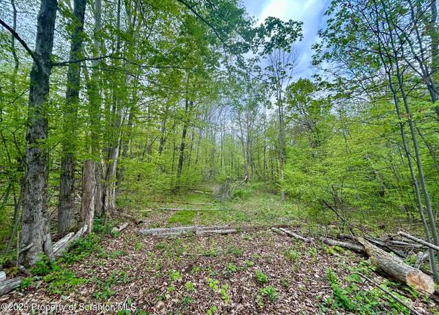 Property at 0 Maile Rd, Greenfield Twp, PA 18407