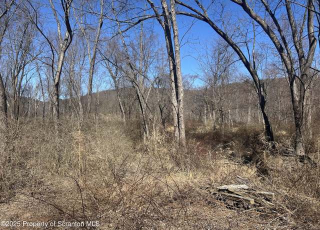Property at Lot 1 Lower Narrows Rd, Ransom Township, PA 18411
