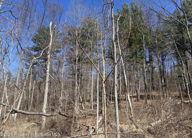 Property at Lot 7 Lower Narrow Rd, Ransom Township, PA 18411