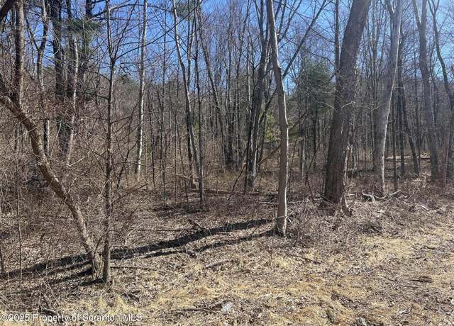 Property at Lot 8 Lower Narrows Rd, Ransom Township, PA 18411