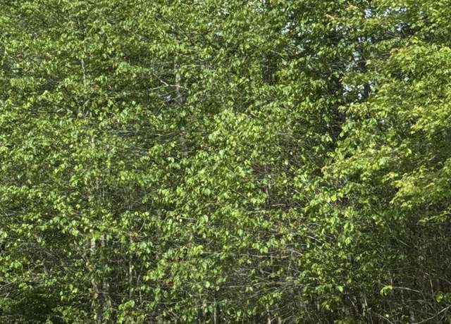 Property at Lot 15 Jubilee, Covington Twp, PA 18444