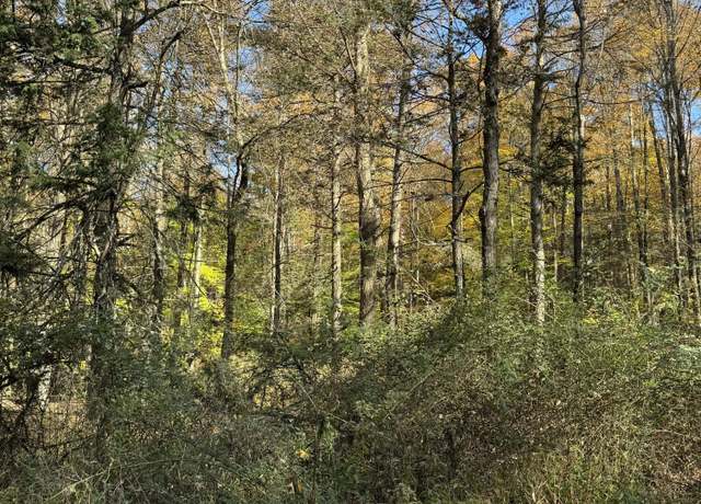Property at Finn Rd, Benton, PA 17814