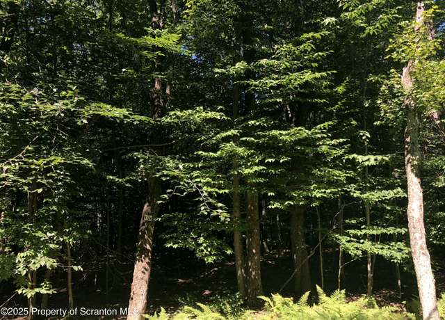 Property at H-1128 E Creek View Dr, Clifton Twp, PA 18424