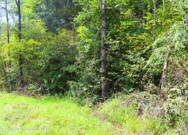 Property at Jackson Valley Rd, Little Meadows, PA 18830