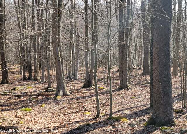 Property at Lot 17 Navajo Path, Gouldsboro, PA 18424
