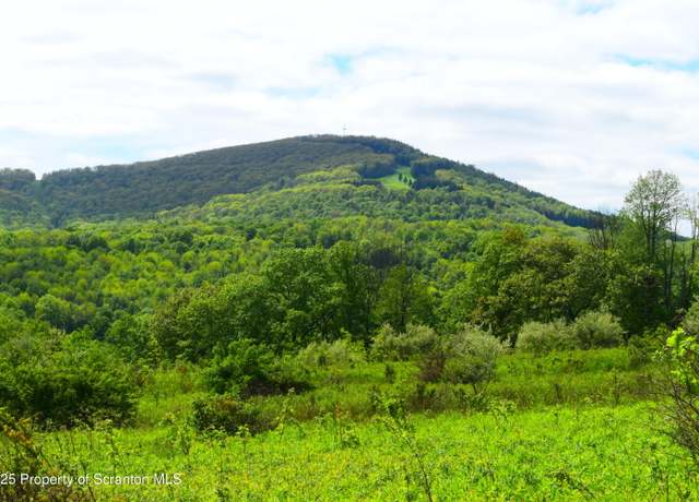 Property at Lyon St, Union Dale, PA 18470