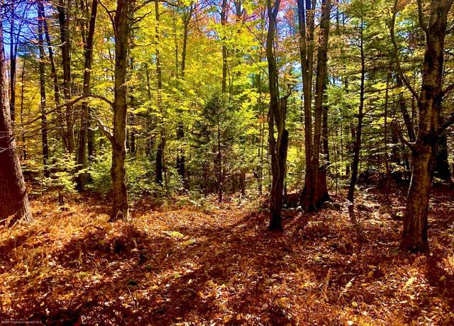Property at 36 Kimberly Cir, Thornhurst, PA 18424
