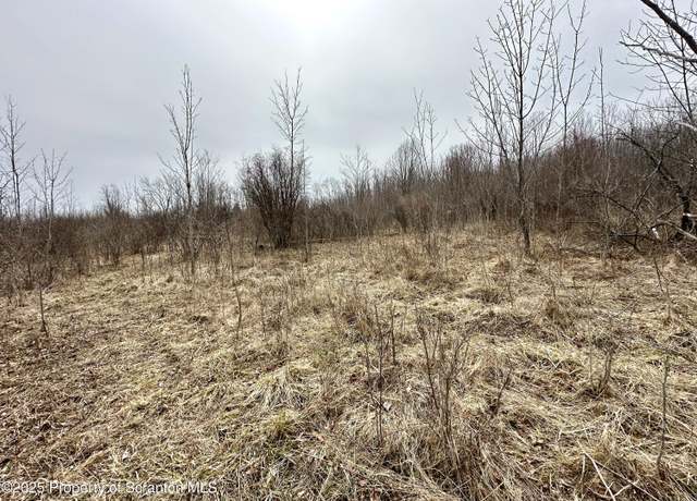 Property at Murphy Hill Rd, Pleasant Mount, PA 18453