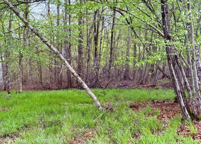 Property at 355 Fir Ln, Thornhurst, PA 18424