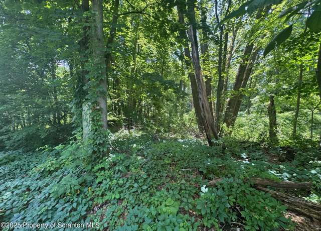 Property at 138 S Keyser Ave, Scranton, PA 18505