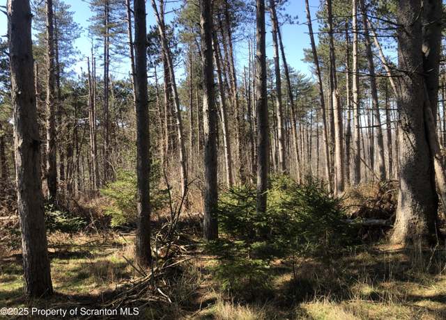 Property at 634 Lily Lake Road, Lot 3, Waverly, PA 18471