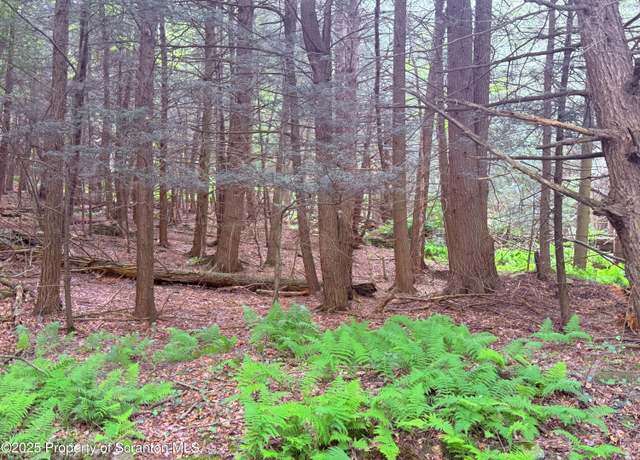 Property at Campsite Rd, Thompson, PA 18465