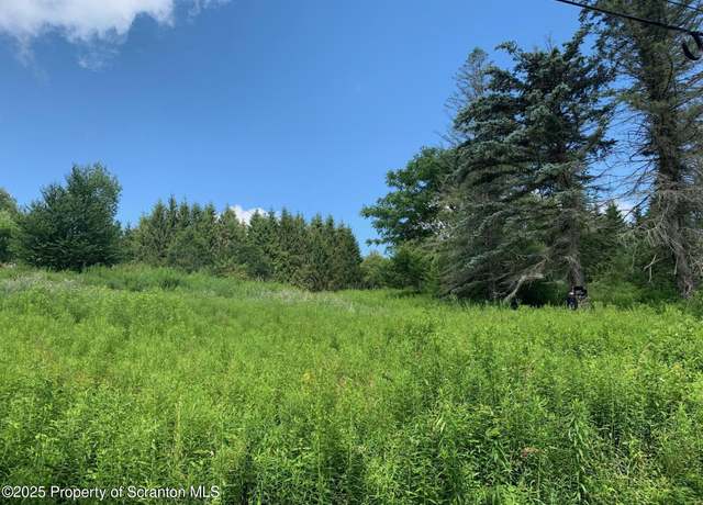 Property at 1855 Ararat Road Rd, Thompson, PA 18465