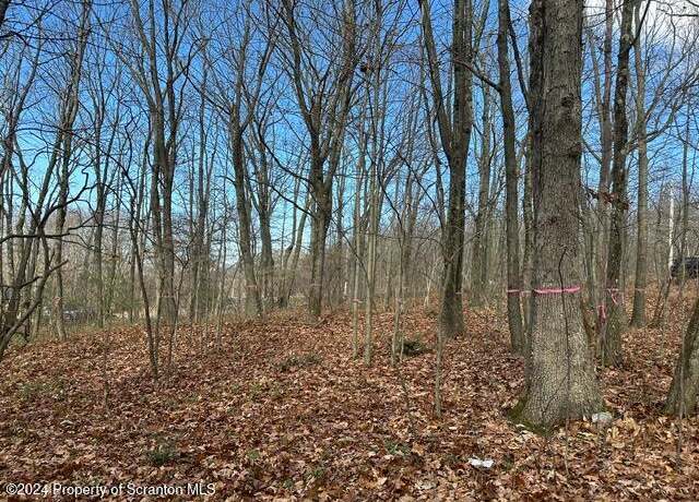 Property at Archbald Mt Rd, Jefferson Twp, PA 18436