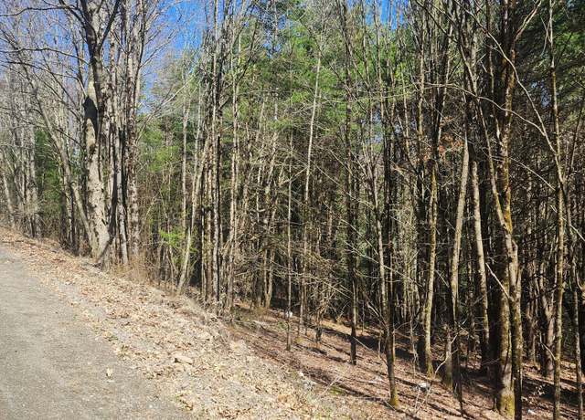 Property at 234 Tarbell Hill Road Rd, Deposit, NY 13745