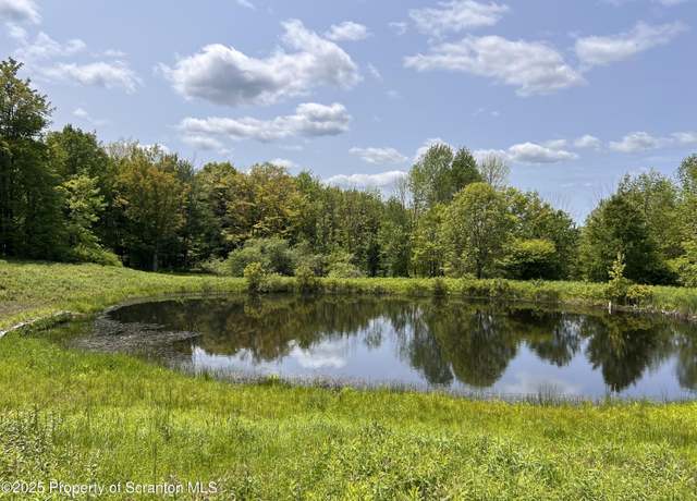 Property at 809 Thorn Hill Rd, Thompson, PA 18465