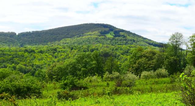 Photo of Lyon St, Union Dale, PA 18470