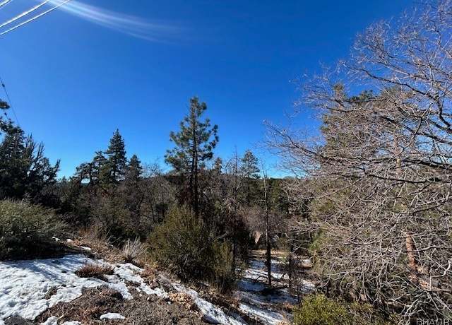 Property at 0 Bruin Trl, Fawnskin, CA 92333