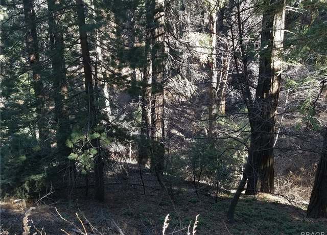 Property at 00987 Burnt Mill Canyon Rd, Cedarpines Park, CA 92322
