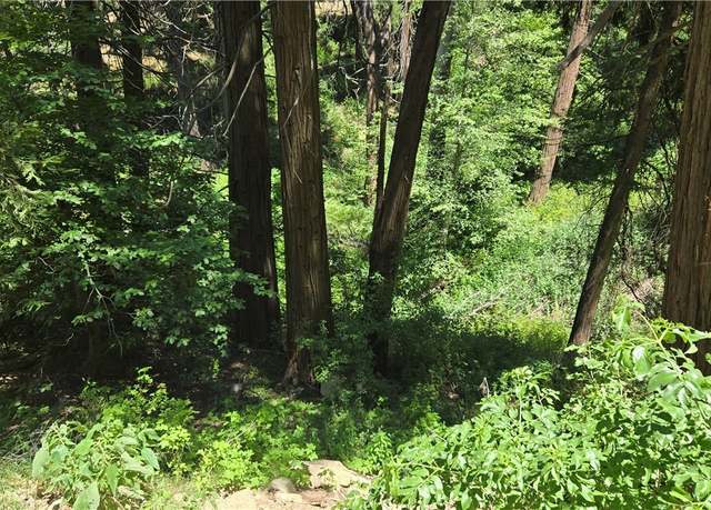 Property at 00987 Burnt Mill Canyon Rd, Cedarpines Park, CA 92322