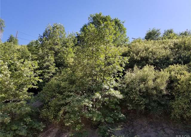 Property at 00987 Elder Dr, Cedar Glen, CA 92321