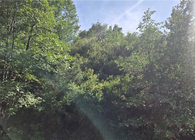 Property at 00987 Elder Dr, Cedar Glen, CA 92321