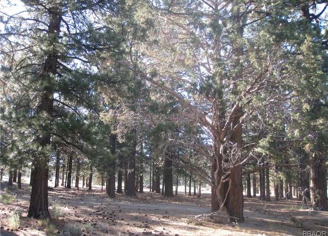 Property at 2818 Erwin Ranch Rd, Big Bear City, CA 92314