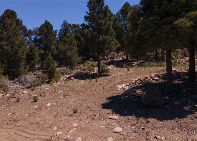 Property at 0 Baldwin Lk, Big Bear City, CA 92314
