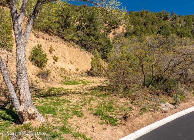 Property at TBD Lincolnwood Dr, Glenwood Springs, CO 81601
