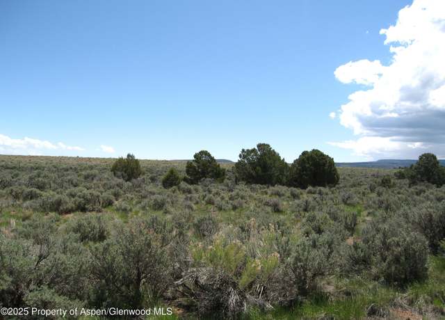 Property at 15310 DS Rd, Glade Park, CO 81523