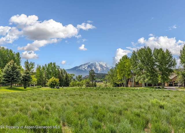 Property at 49 ALPEN GLO Ln, Carbondale, CO 81623