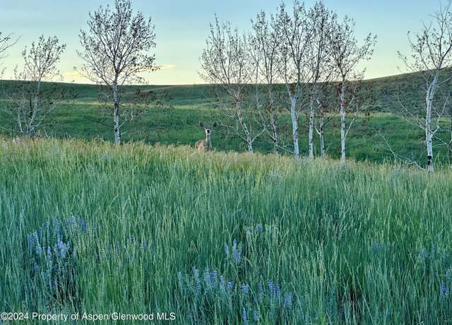 Property at TBD County Road 5, Craig, CO 81625