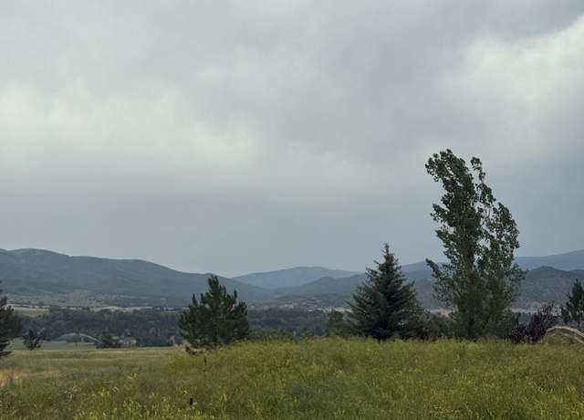 Property at 226 Crystal Canyon Dr, Carbondale, CO 81623